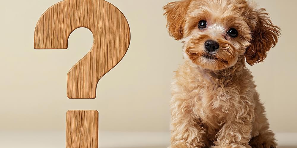 よくあるご質問